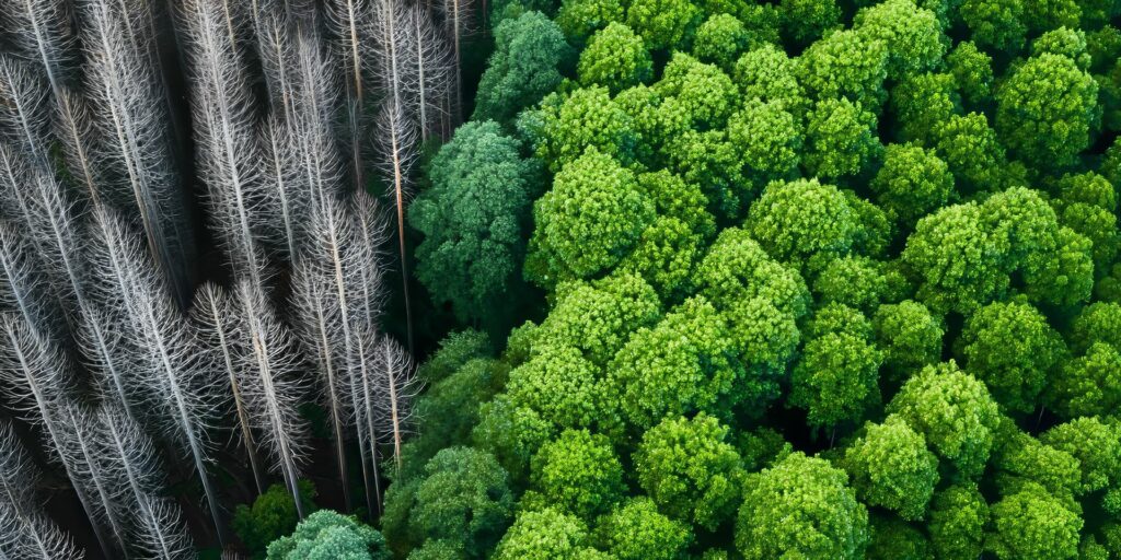 changement climatique